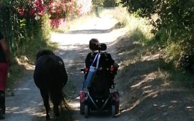 Accessible aux personnes en situation de handicap