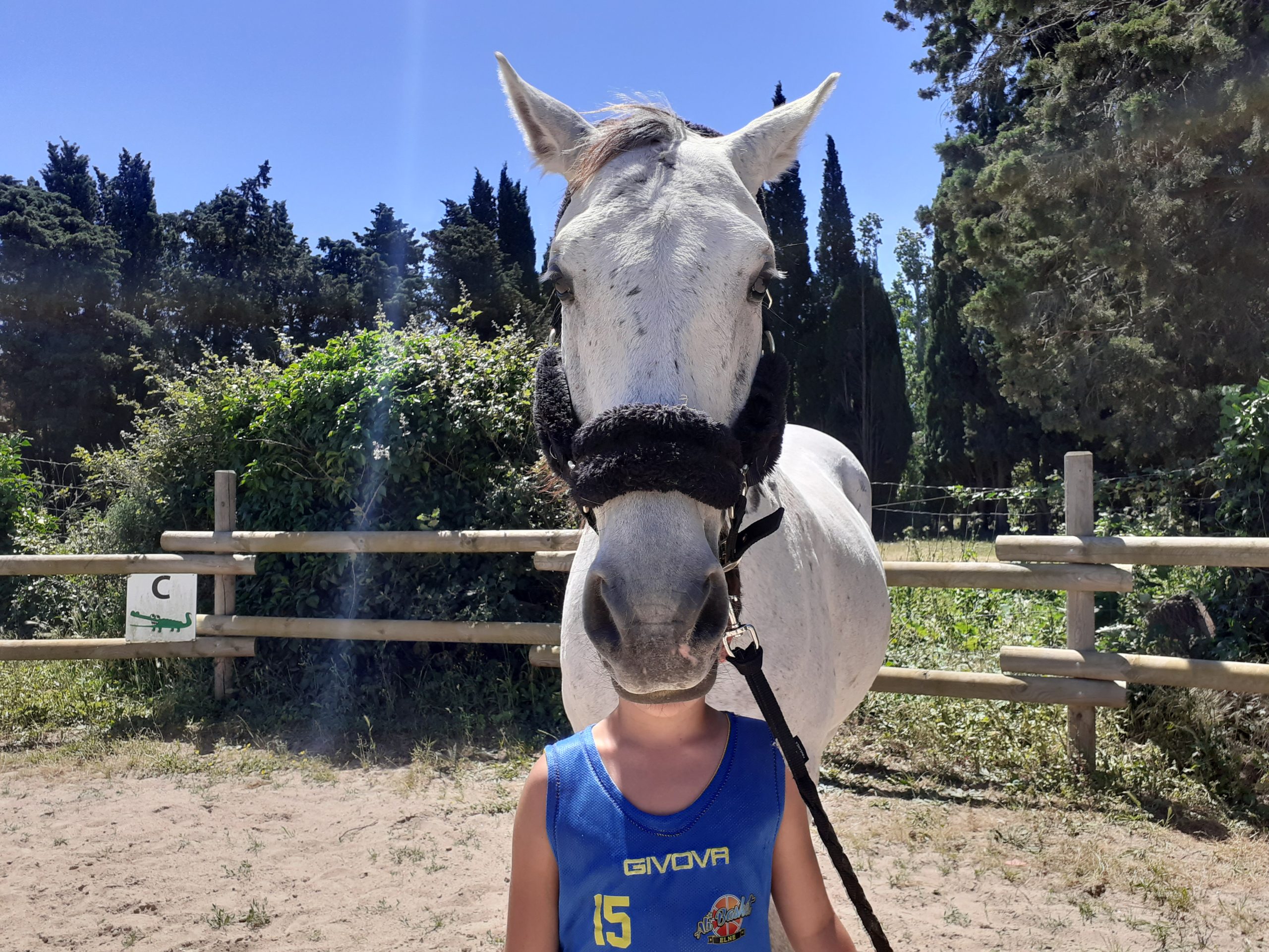 equitherapie66-saint-andre-cynthia-gueneau