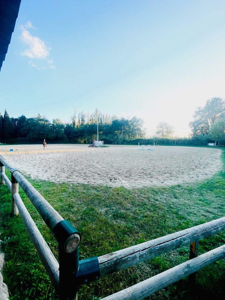 equitherapie-pyrenees-orientales-saint-andre