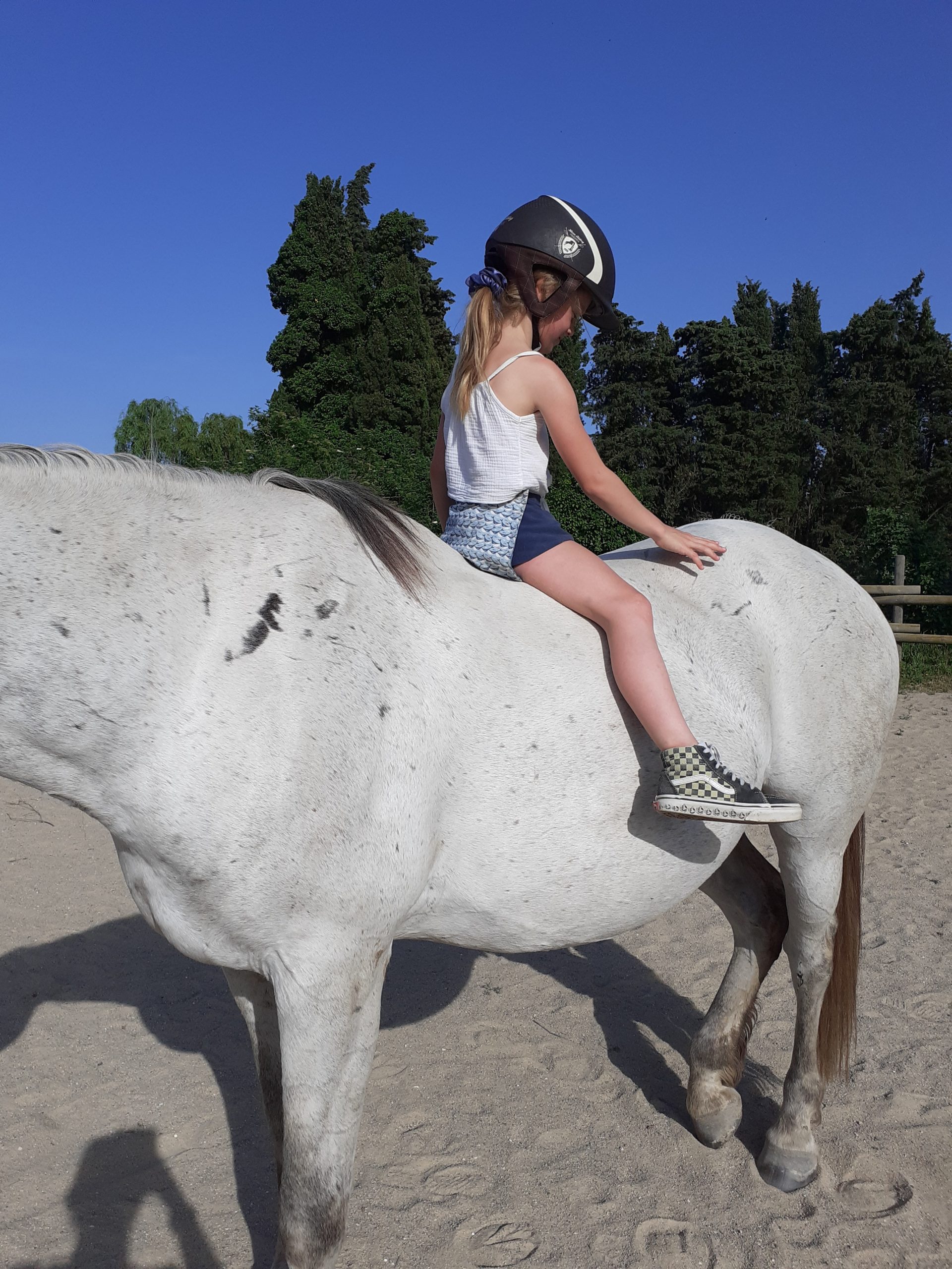 equitherapie-saint-andre-psychomotricite