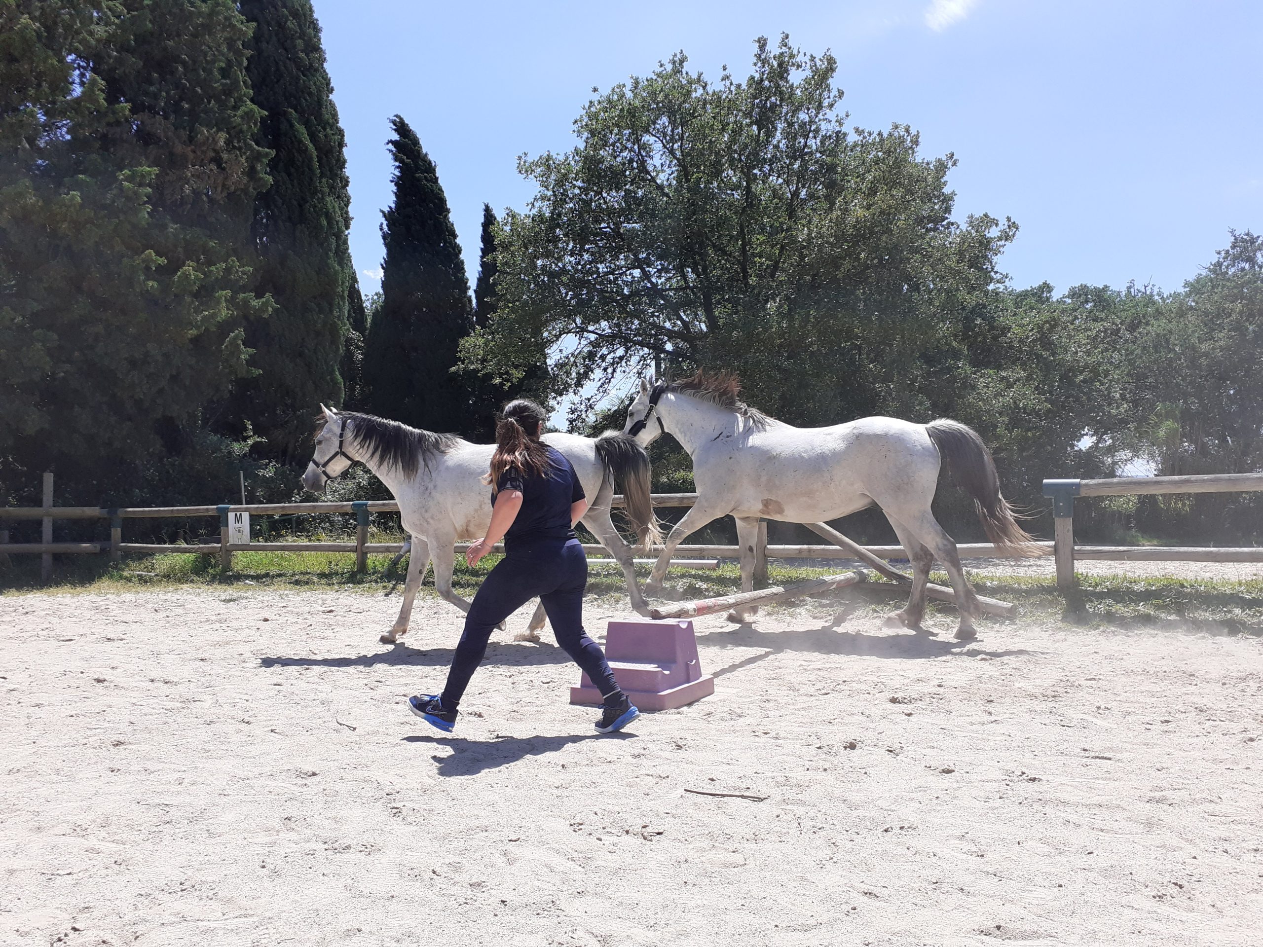 equitherapie-saint-andre-corporel