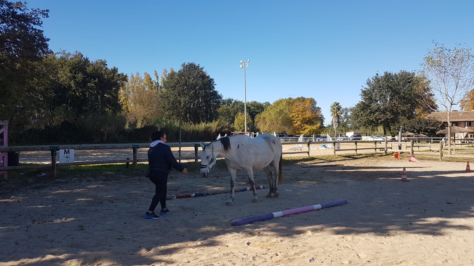equitherapeute-saint-andre-developpement-personnel(1) equitherapeute-saint-andre-cynthia-gueneau