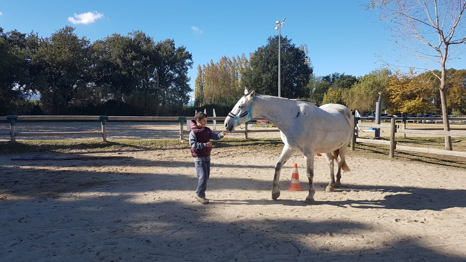 equitherapeute-saint-andre-developpement-personnel(2) equitherapeute-saint-andre-cynthia-gueneau
