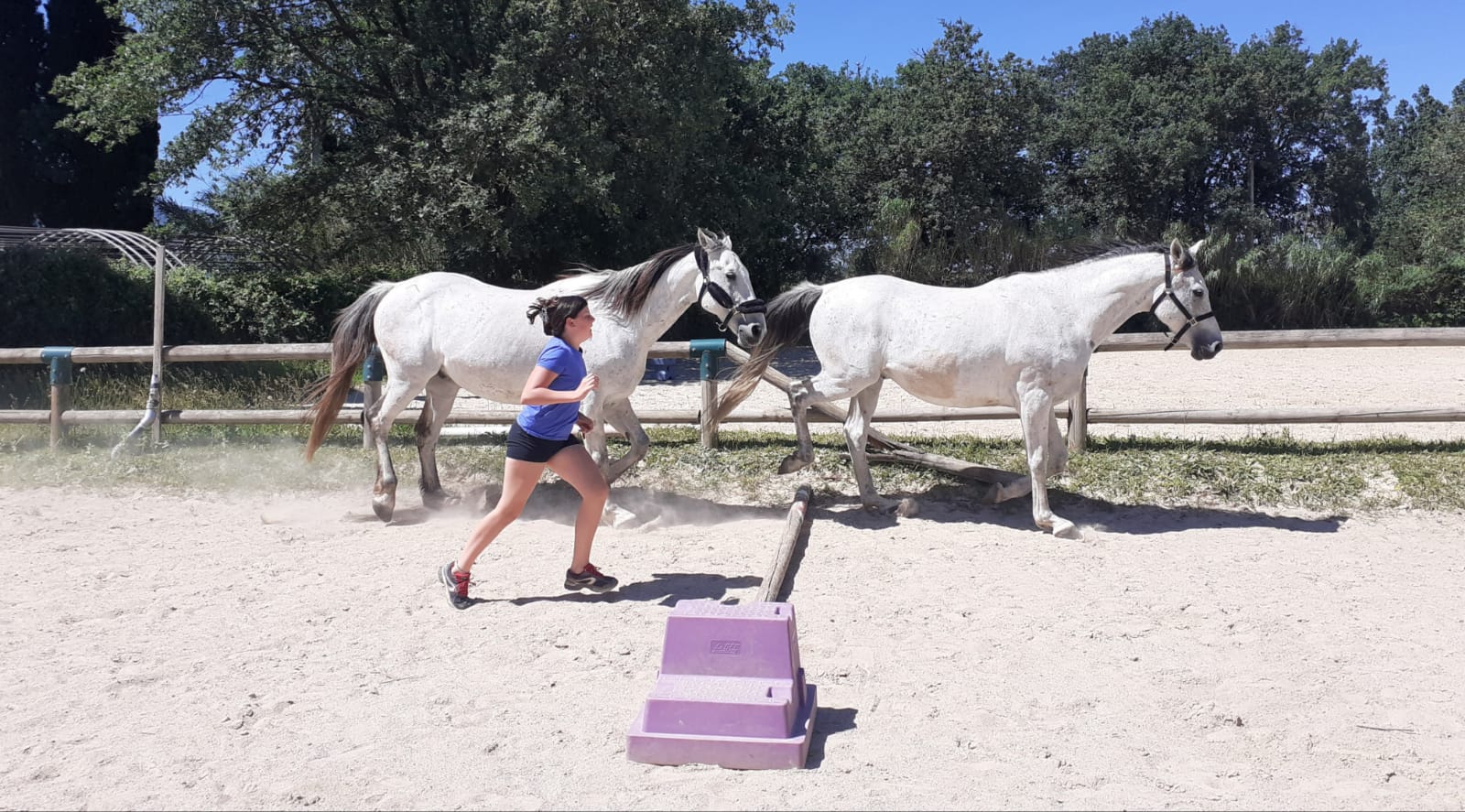 equitherapeute-saint-andre-developpement-personnel(3) equitherapeute-saint-andre-cynthia-gueneau