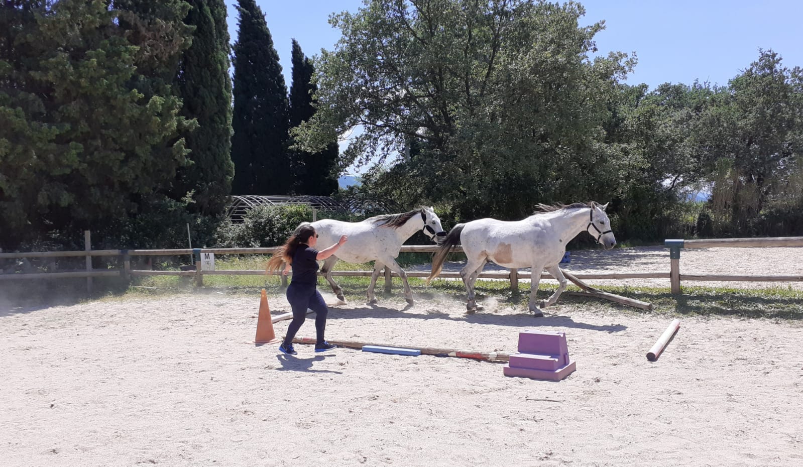 equitherapeute-saint-andre-developpement-personnel(7) equitherapeute-saint-andre-cynthia-gueneau