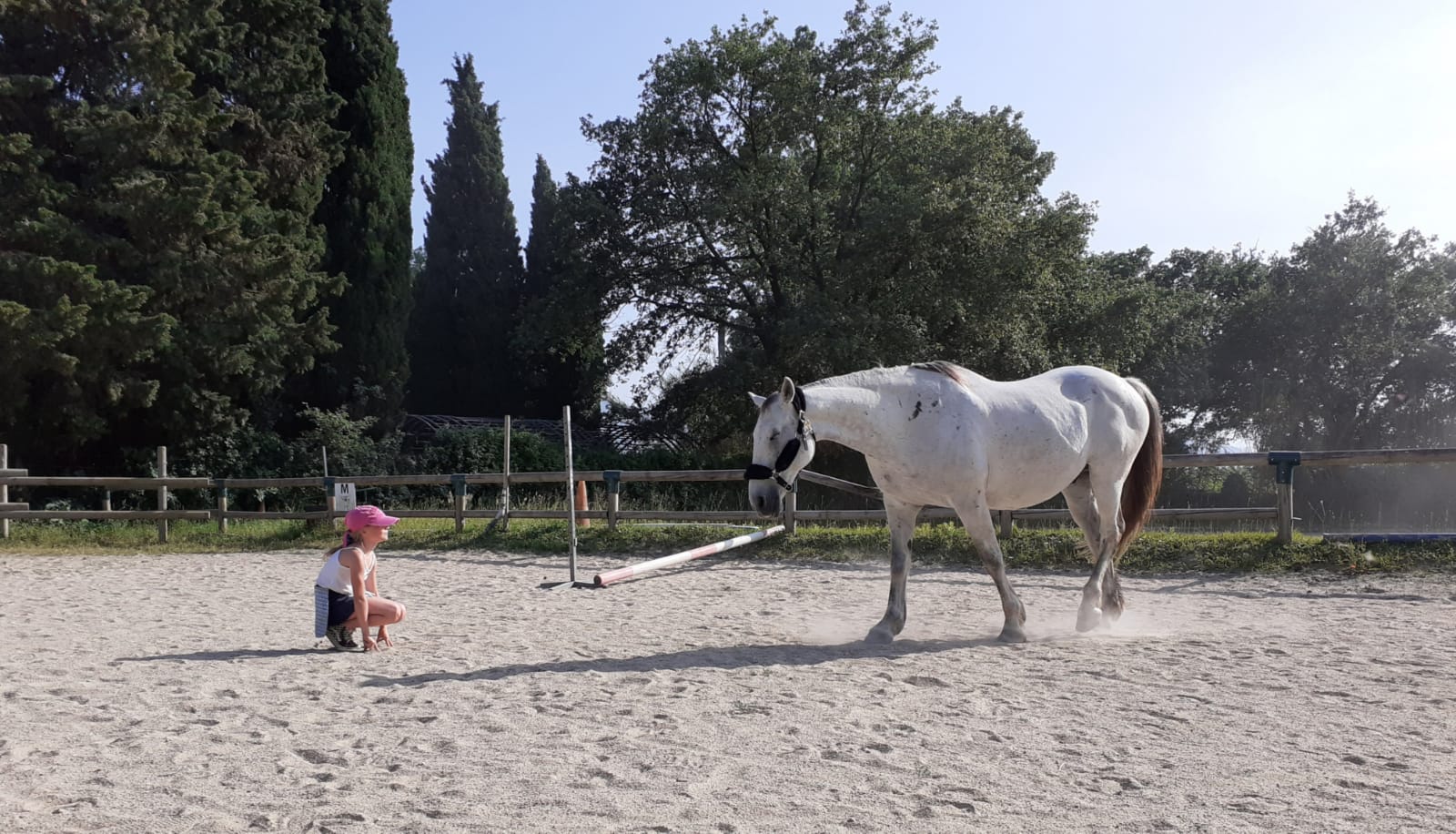 equitherapeute-saint-andre-developpement-personnel(8) equitherapeute-saint-andre-cynthia-gueneau