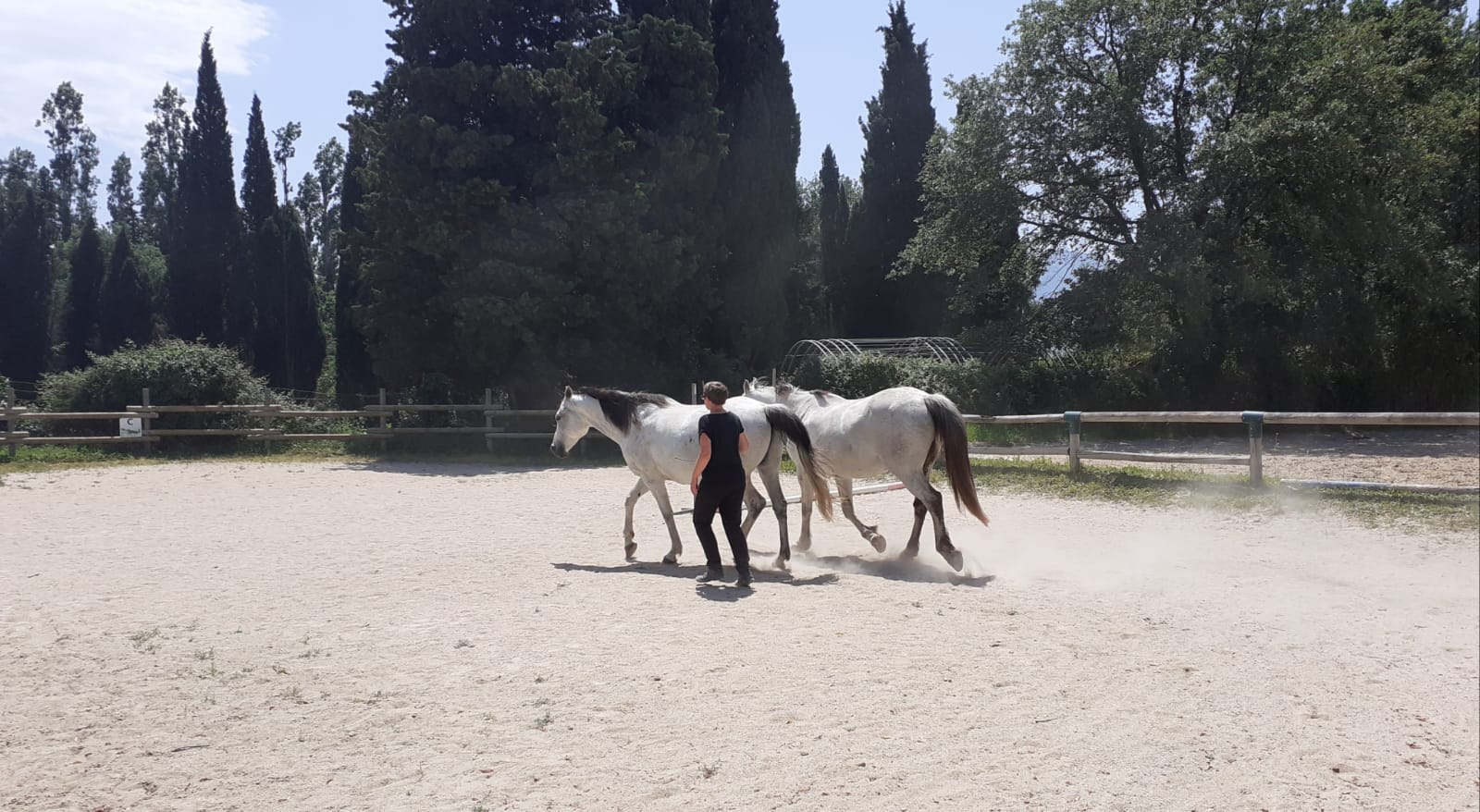 equitherapeute-saint-andre-developpement-personnel(9) equitherapeute-saint-andre-cynthia-gueneau