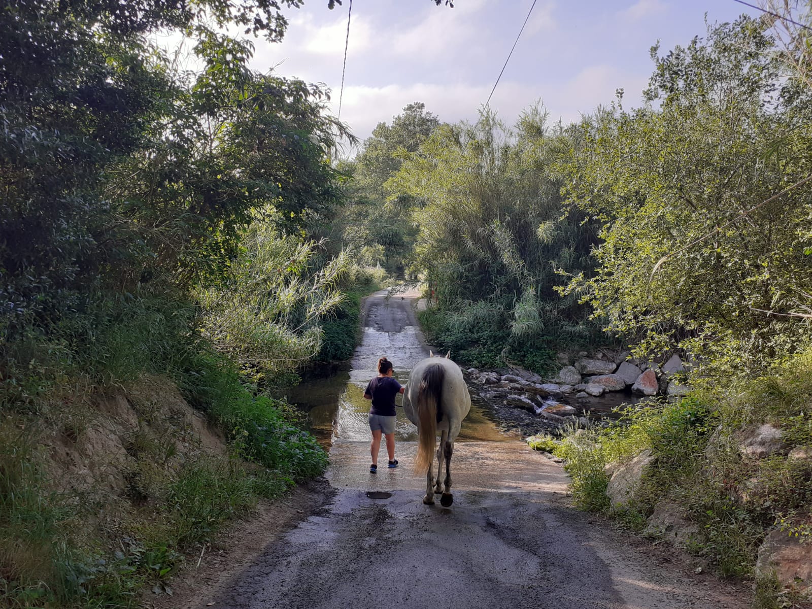 equitherapeute-saint-andre-gueneau-bien-etre