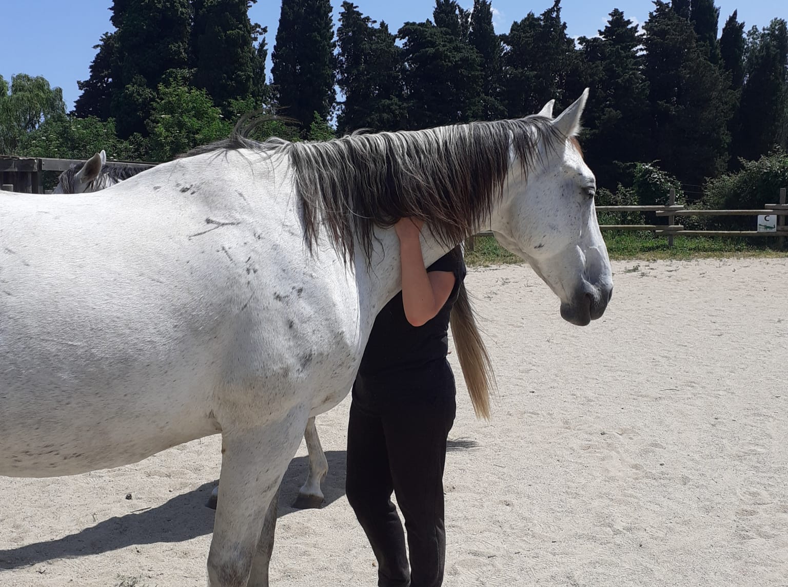 equitherapeute-saint-andre-gueneau-bien-etre