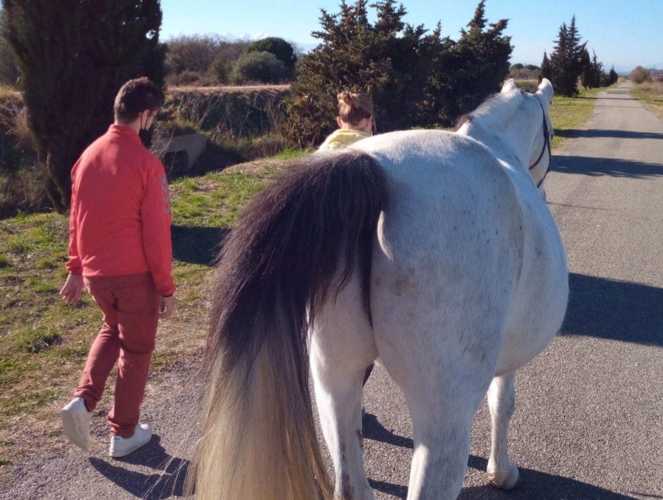 equitherapeute-saint-andre-gueneau-bien-etre