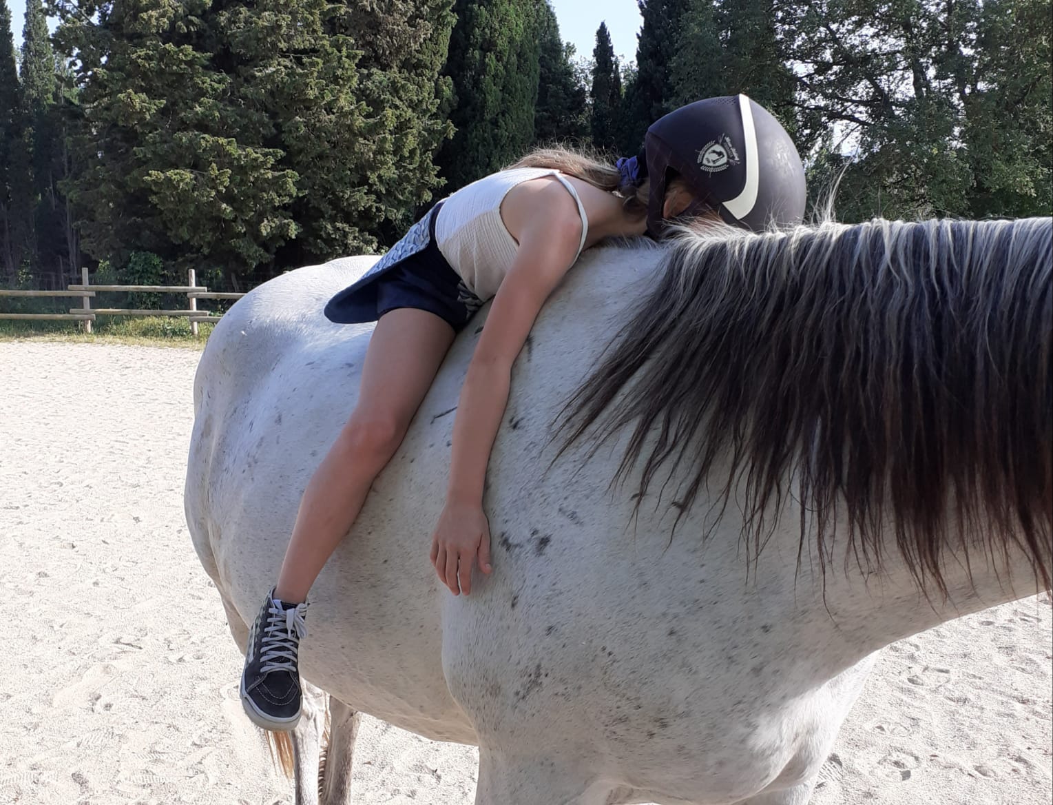 equitherapeute-saint-andre-gueneau-bien-etre