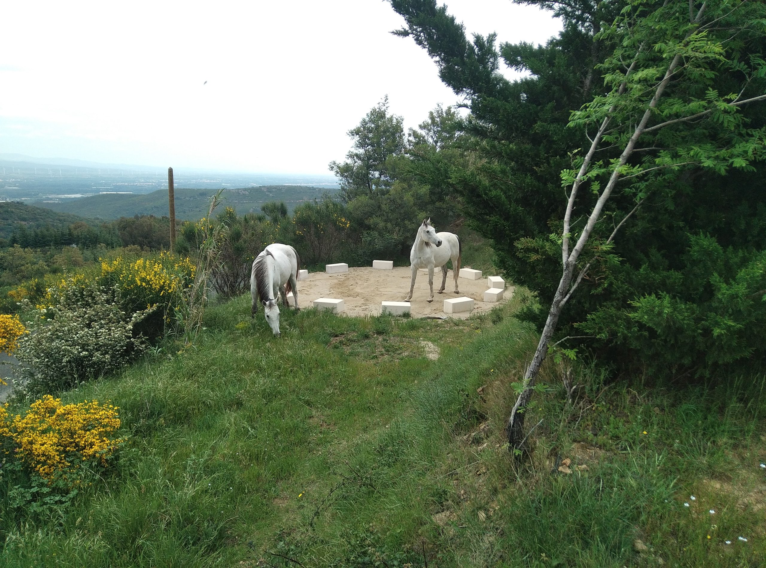 equitherapie-saint-andre-pyrenees-orientales