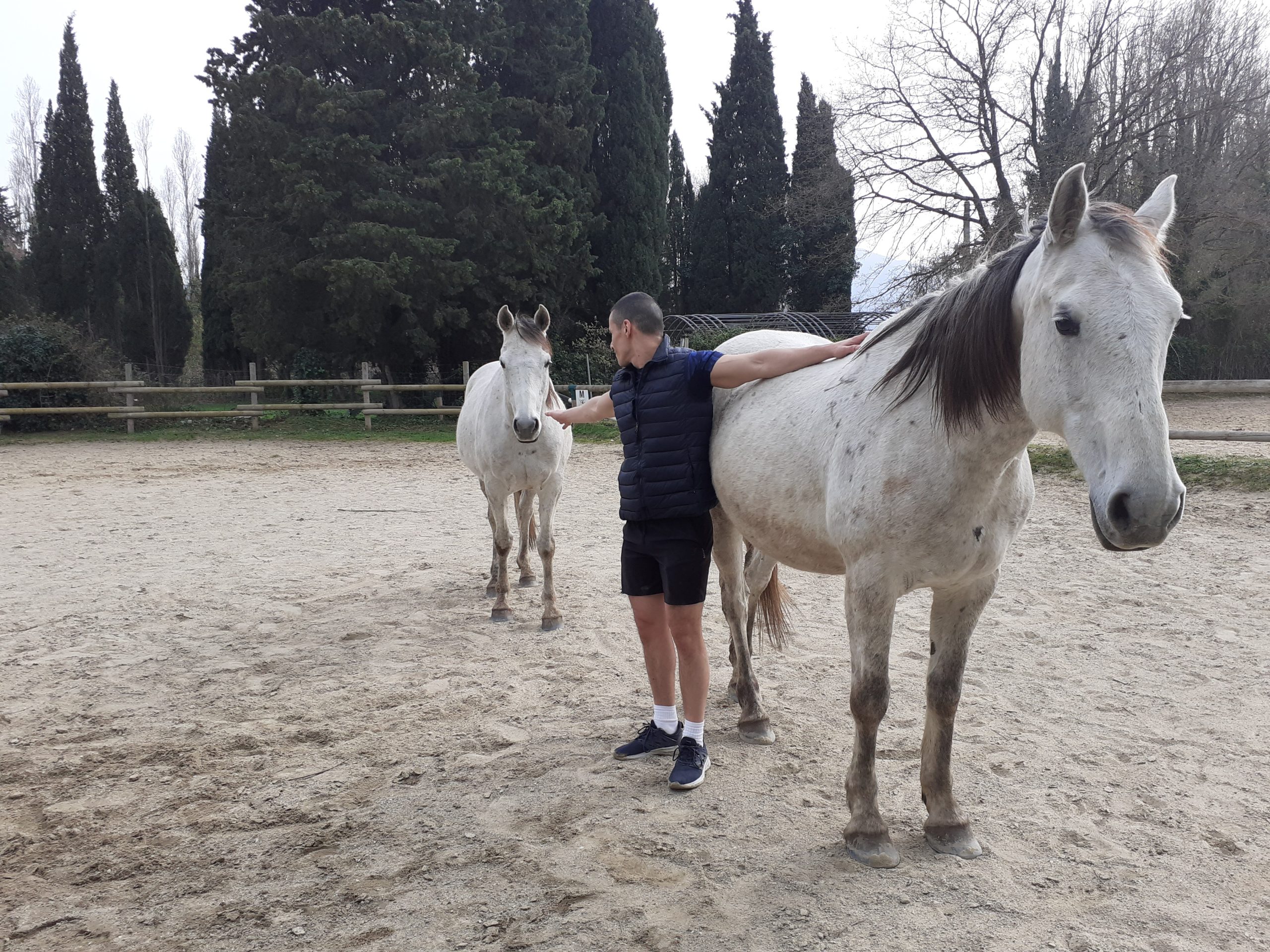 equitherapie-bien-etre-relaxation-66-saint-andre-pyrenees-orientales