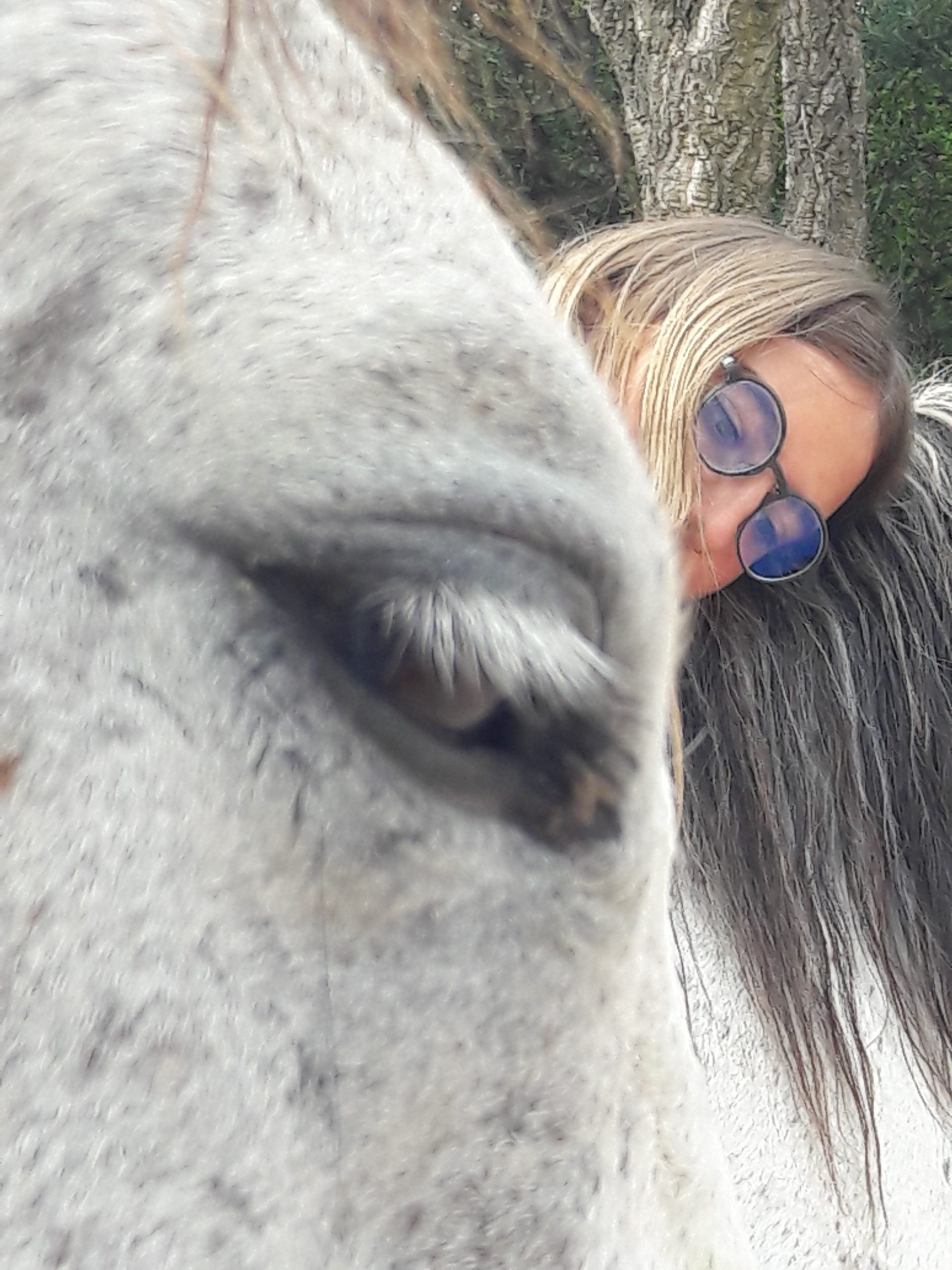 equitherapie66-saint-andre-cynthia-gueneau