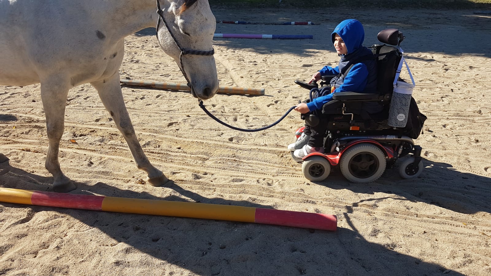 handi'cap equitherapie-saint-andre