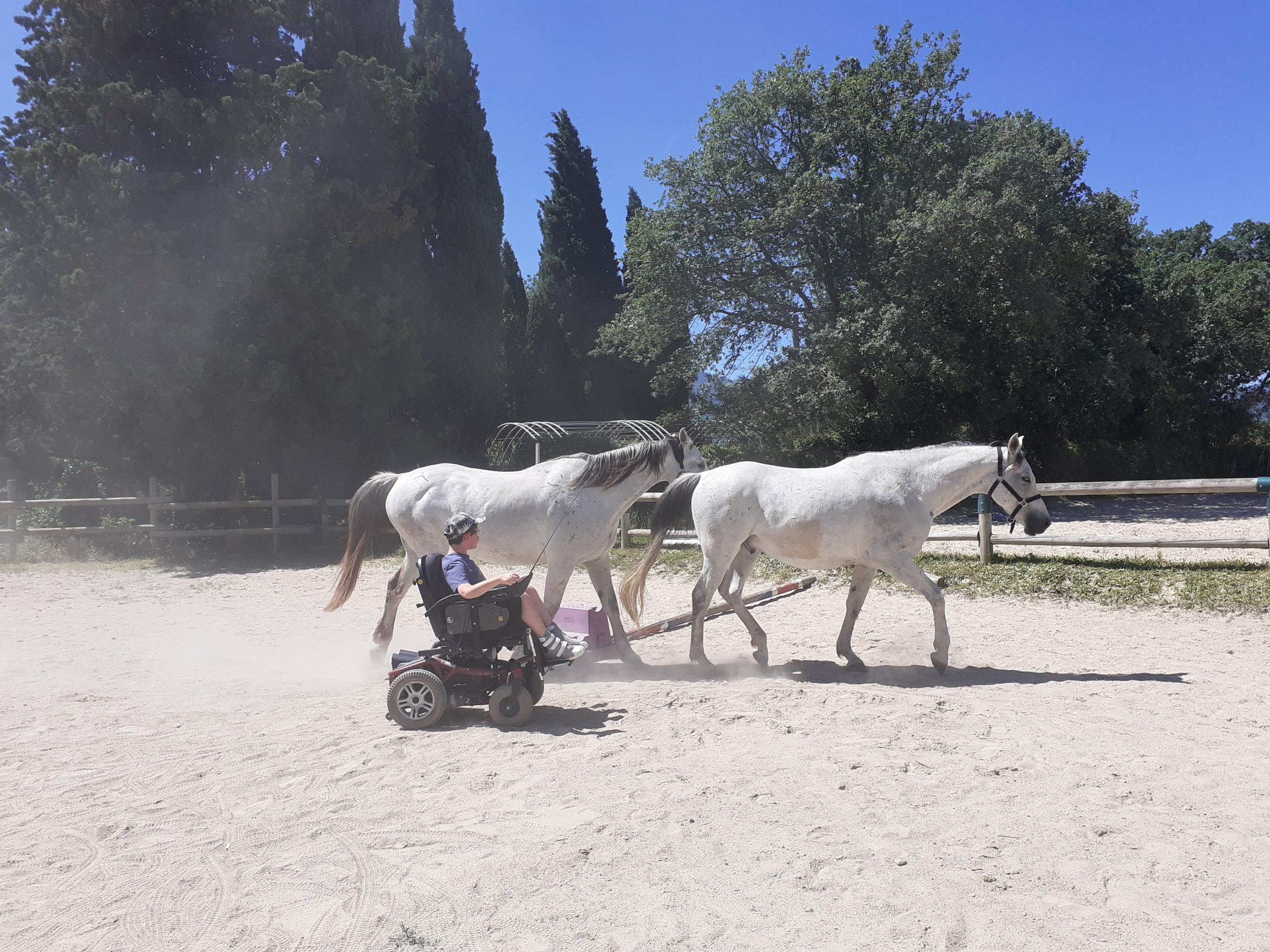 equitherapie-saint-andre-handicap