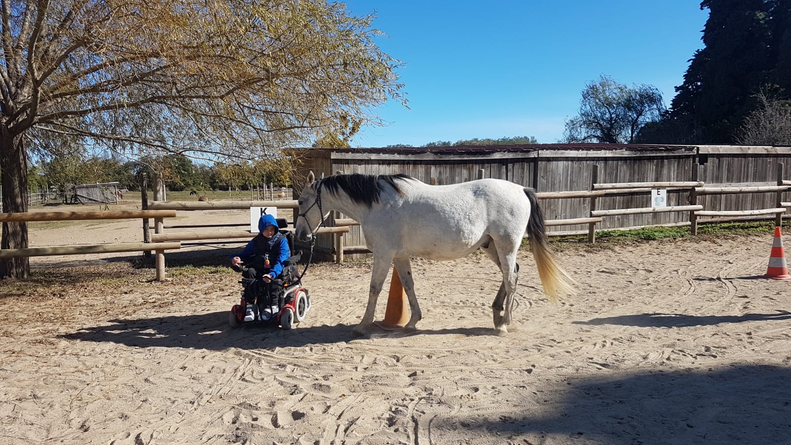 handicap-saint-andre-equitherapie