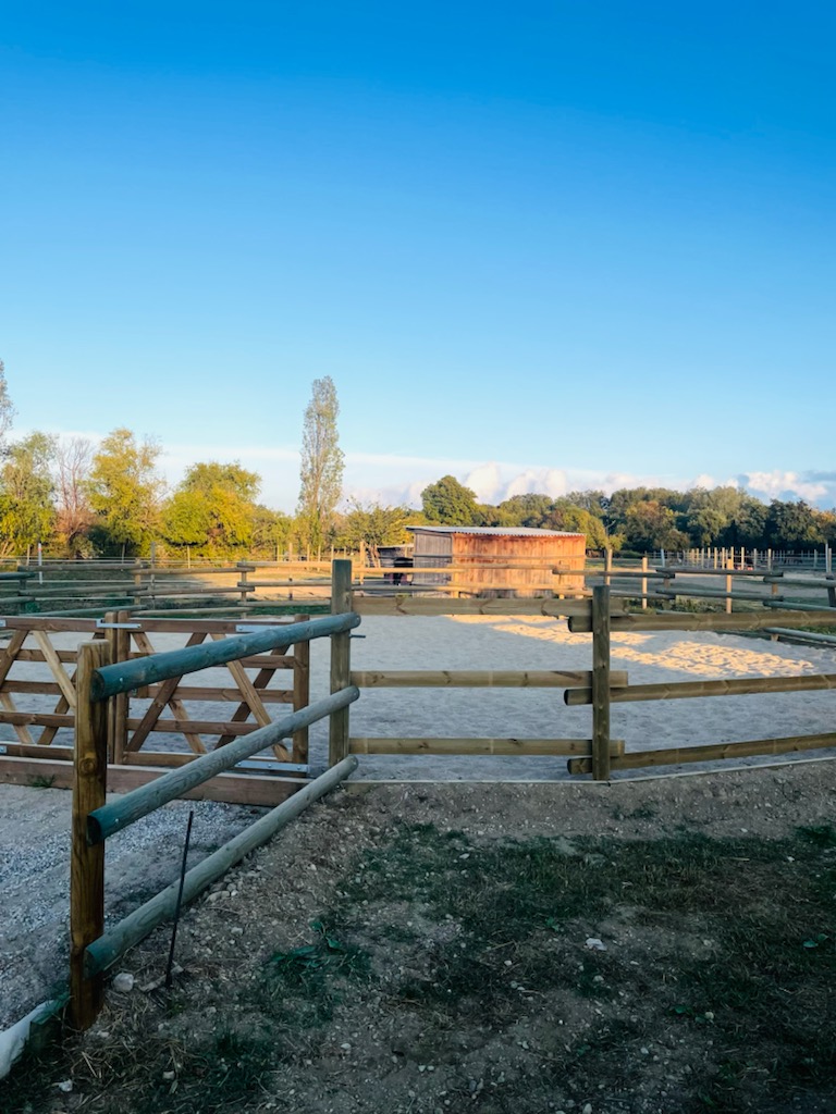 le-rond-de-longe-equitherapie66-saint-andre