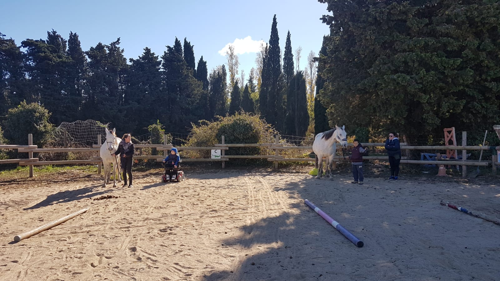 equitherapie-atelier-relations-saint-andré