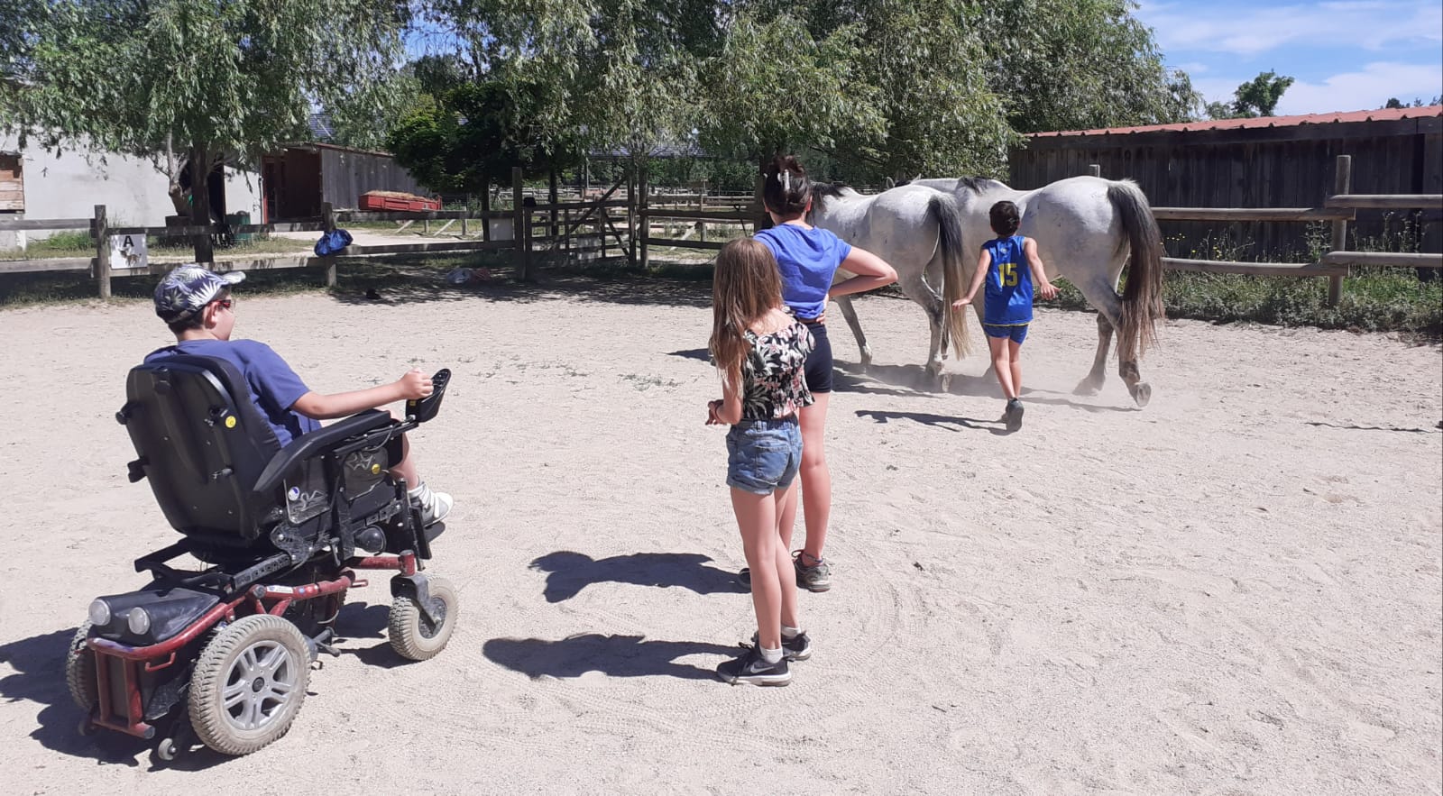 equitherapie-atelier-relations-saint-andré