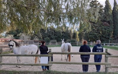 Girl Power : Atelier jeux avec les chevaux entre copines