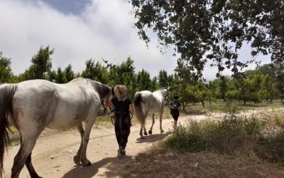 Atelier balade méditative et relaxation à cheval