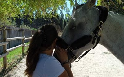 Câlin et douceur avec Chaco et Tito