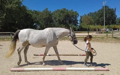 Atelier jeux et pique-nique avec les chevaux