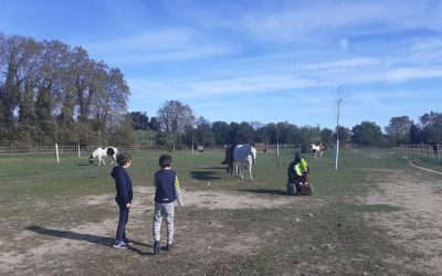 Atelier jeux et pique-nique avec les chevaux