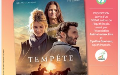 Affiche film « Tempête »