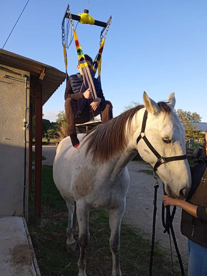 equitherapie-saint-andre-pyrenees-orientales